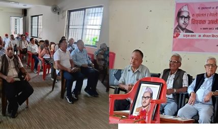 पोखरामा बहुवर्गीय निर्वाचन प्रणालीबारे बहस, गोपाल किराँतीद्वारा नयाँ अवधारणा प्रस्तुत