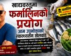खाद्यवस्तुमा फर्मालिनको प्रयोग आम उपभोक्ताको स्वास्थ्यसँग खेलवाड