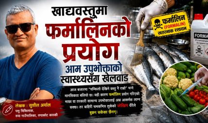 खाद्यवस्तुमा फर्मालिनको प्रयोग आम उपभोक्ताको स्वास्थ्यसँग खेलवाड
