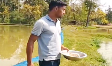 २७ वर्षका विनोदले गाउँमै माछा पालेर बार्षिक २५ लाखसम्म आम्दानी गर्दछन् 