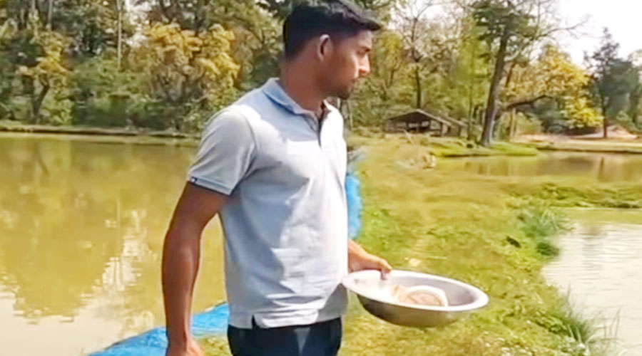 २७ वर्षका विनोदले गाउँमै माछा पालेर बार्षिक २५ लाखसम्म आम्दानी गर्दछन् 