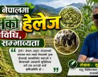 नेपालमा घाँसको हेलेज प्रविधि, सम्भाव्यता