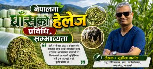 नेपालमा घाँसको हेलेज प्रविधि, सम्भाव्यता