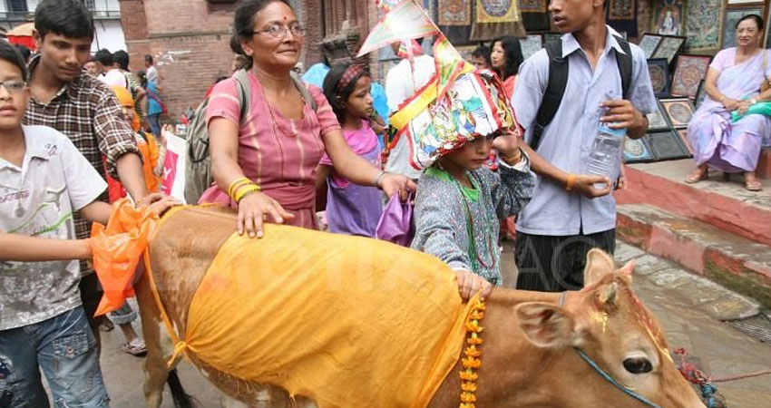 भाद्र कृष्ण प्रतिपदाः आजबाट गाईजात्रा पर्व  मनाइँदै