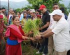 फेदीखोलाले मनायाे दोस्रो राष्ट्रिय कोदो दिवसः स्थानीय उत्पादन प्रवर्द्धनमा जोड