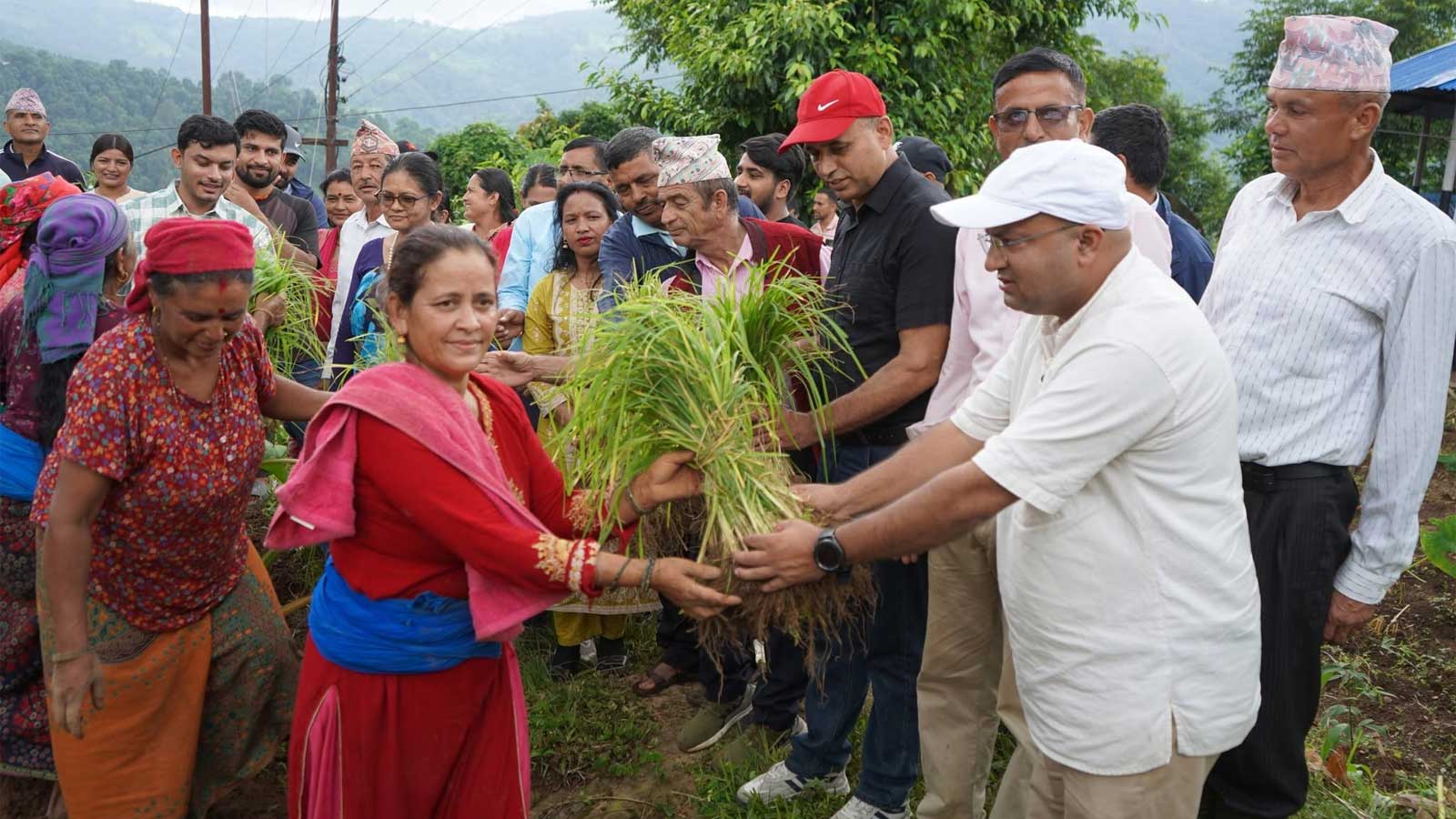 फेदीखोलाले मनायाे दोस्रो राष्ट्रिय कोदो दिवसः स्थानीय उत्पादन प्रवर्द्धनमा जोड