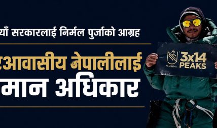 गैरआवासीय नेपालीलाई नागरिकसरह समान अधिकार दिन आग्रह गर्दै निर्मल पुर्जाले लेखेका थिए स्टाटस