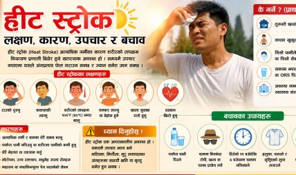 उच्च गर्मीमा हीट स्ट्रोकको जोखिम, कसरी जोगिने ? उच्च गर्मीमा हीट स्ट्रोकको जोखिम, कसरी जोगिने ?