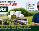 पशुपालन ब्यबसायमा उत्पादन लागत घटाऊने सजिलो प्रबिधि साइलेज