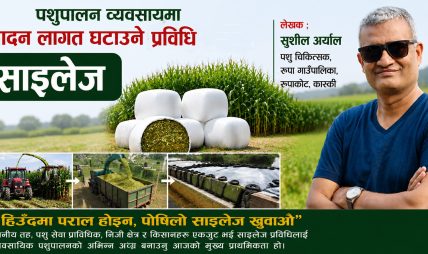 पशुपालन ब्यबसायमा उत्पादन लागत घटाऊने सजिलो प्रबिधि साइलेज पशुपालन ब्यबसायमा उत्पादन लागत घटाऊने सजिलो प्रबिधि साइलेज