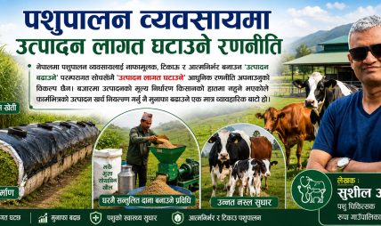 पशुपालन व्यवसायमा उत्पादन लागत घटाउने रणनीति